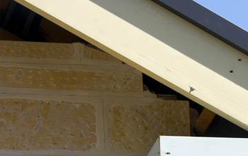 soffit repair Causeway Green