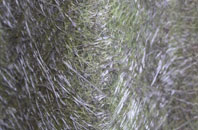 Causeway Green fibreglass roof work